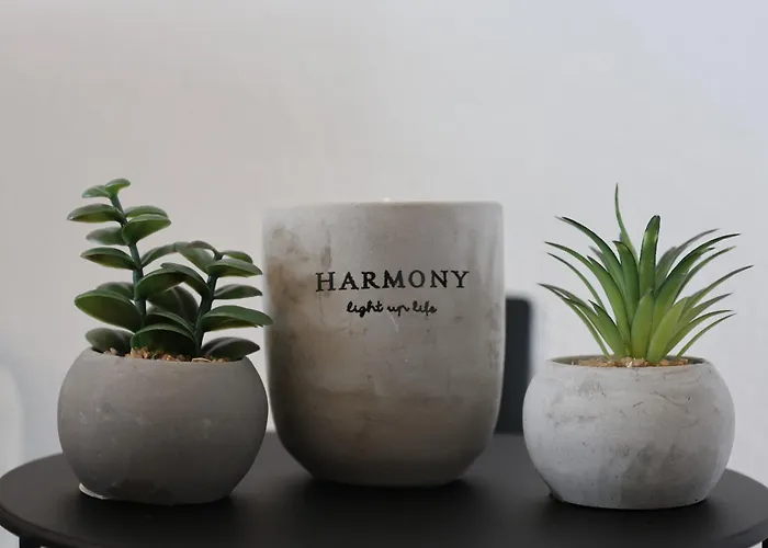 Armonia Seaside Lofts 아파트 *