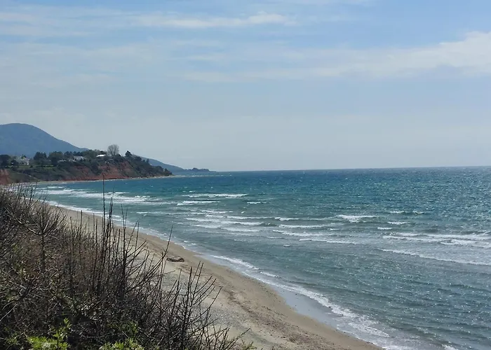 Armonia Seaside Lofts *