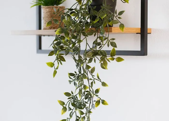 Armonia Seaside Lofts Marónia