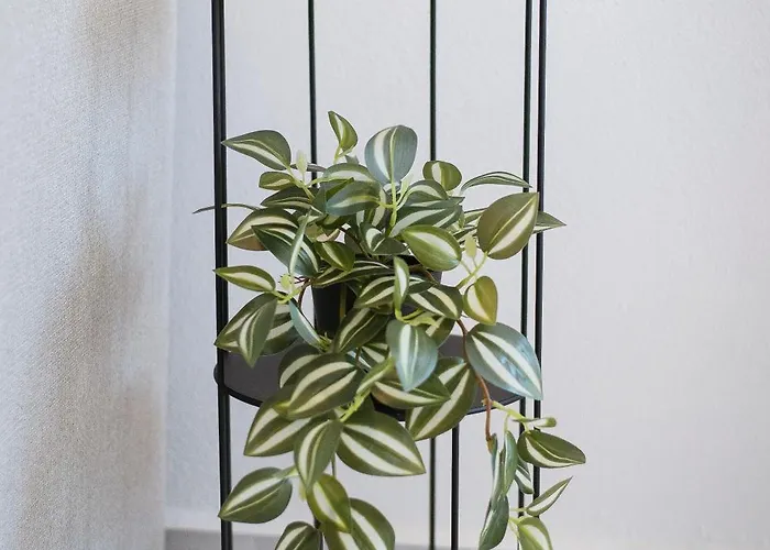 Apartament Armonia Seaside Lofts Marónia